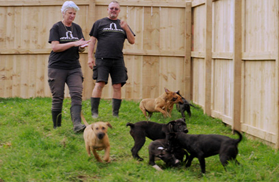 New enclosures for Warkworth animal sanctuary
