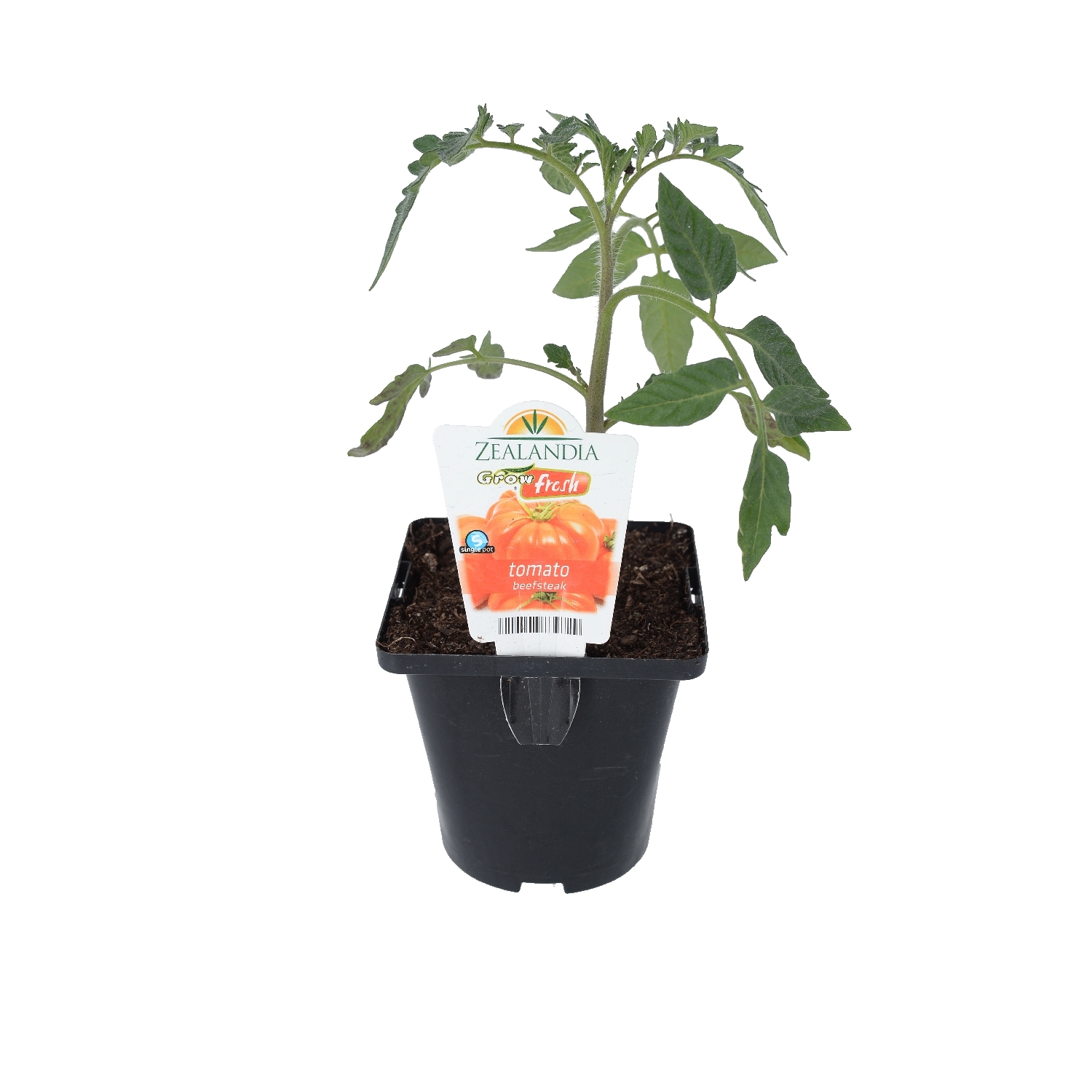 self watering system for plants Sainlogic Automatic Plant Waterer for 15 Pots