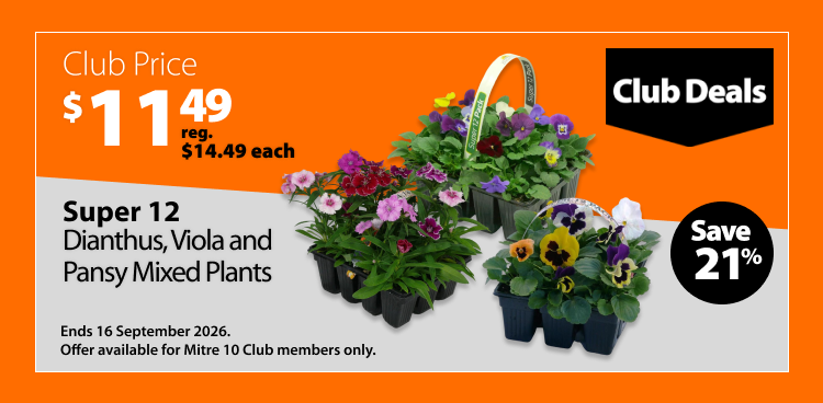 Super 12 Dianthus, Viola and Pansy Mixed Plants, was $14.49 each now $11.49 each, save 21%. Club Deals offer valid until 16 September 2026. Offer available for Mitre 10 Club members only.
