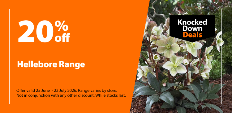 Hellebore Range. 20% off Knocked Down Deals offer valid 25 June – 22 July 2026. Range varies by store. Not in conjunction with any other discount. While stocks last.