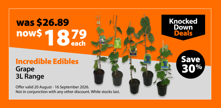 Incredible Edibles Grape 3L Range, was $25.98 now $18.79 each, save 28%. Knocked Down Deals offer valid 20 August - 16 September 2026. Not in conjunction with any other discount. While stocks last.