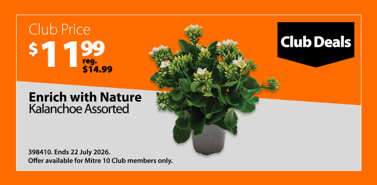 Enrich with Nature Kalanchoe Assorted, was $14.99 now $11.99, save $3. Club Deals offer valid until 22 July 2026. Offer available for Mitre 10 Club members only.