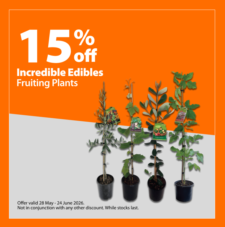 Incredible Edibles Fruiting Plants, 15% off. Offer valid 28 May – 24 June 2026. Not in conjunction with any other discount. While stocks last.