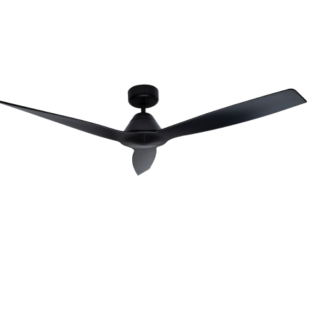 Ceiling Fans