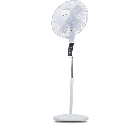 Pedestal Fan
