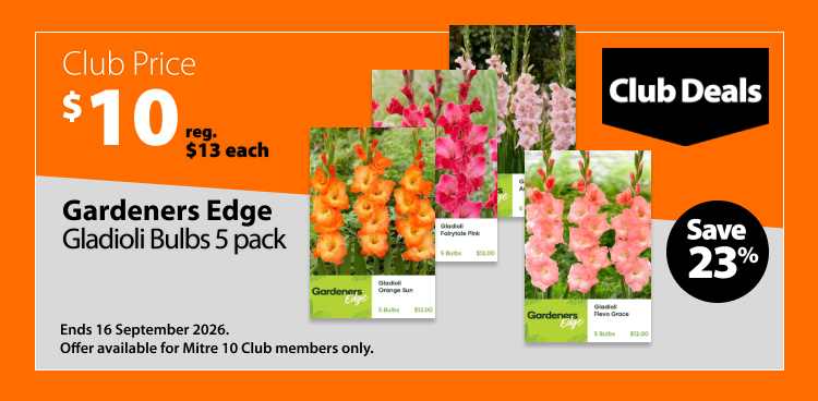 Gardeners Edge Gladioli Bulbs 5 Pack, was $13 each now $10 each, save 23%. Club Deals offer valid until 16 September 2026. Offer available for Mitre 10 Club members only.