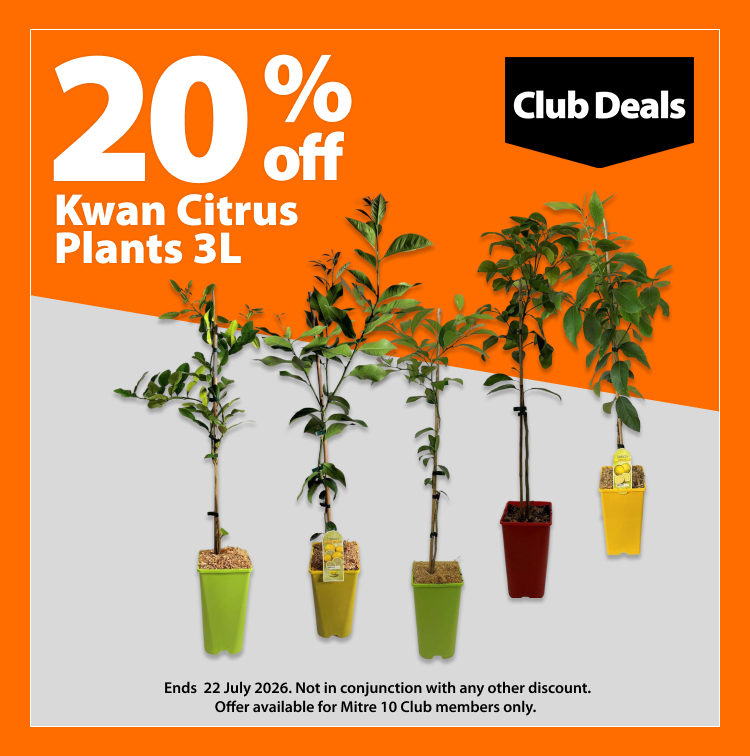 Kwan Citrus Plants 3L, 20% off. Club Deals offer valid until 22 July 2026. Not in conjunction with any other discount. Offer available for Mitre 10 Club members only.