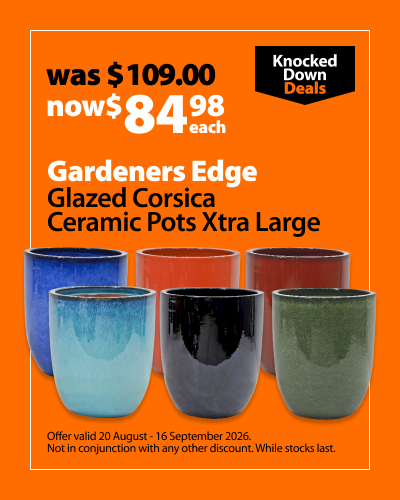 Gardeners Edge Glazed Corsica Ceramic Pots Extra Large, was $99.98 now $84.98 each. Offer valid 20 August - 16 September 2026. Not in conjunction with any other discount. While stocks last.
