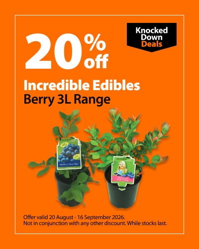 Incredible Edibles Berry 3L Range, 20% off. Knocked Down Deals offer valid 20 August - 16 September 2026. Not in conjunction with any other discount. While stocks last.