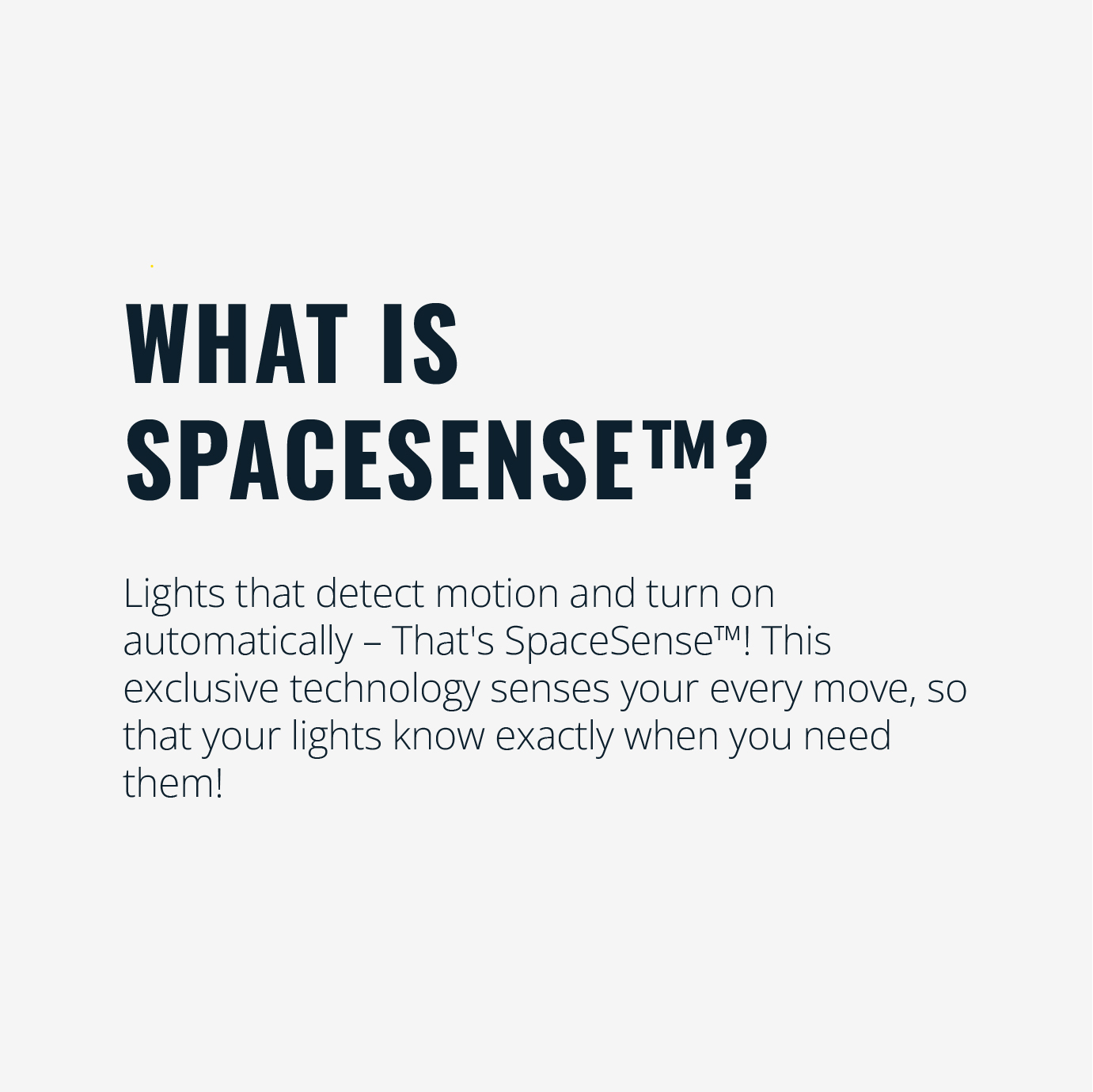 What is SpaceSense?
