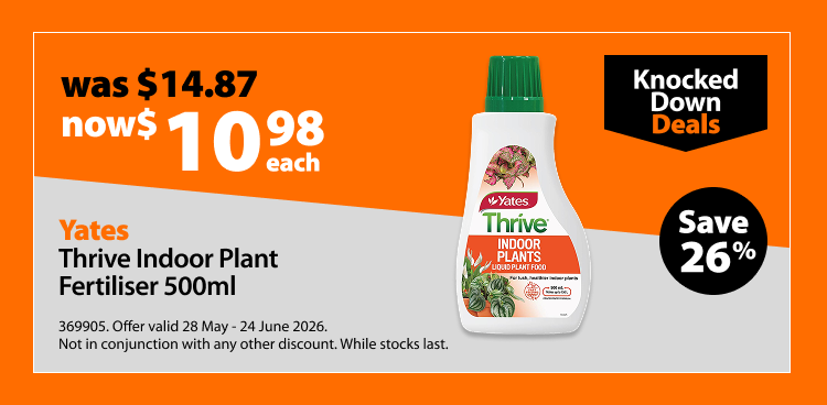 Yates Thrive Indoor Plant Fertiliser 500ml, was $14.87 now $10.98 each, save 26%. Knocked Down Deals offer valid 28 May - 24 June 2026. Not in conjunction with any other discount. While stocks last.