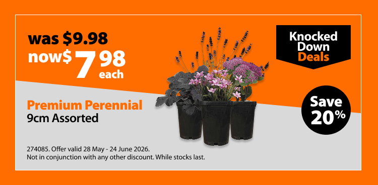 Premium Perennial 9cm Assorted, was $9.98 now $7.98 each, save 20%. Knocked Down Deals offer valid 28 May - 24 June 2026. Not in conjunction with any other discount. While stocks last.