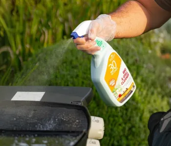 BBQ cleaners image