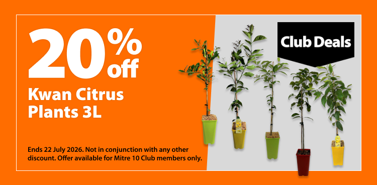 Kwan Citrus Plants 3L, 20% off. Club Deals offer valid until 22 July 2026. Not in conjunction with any other discount. Offer available for Mitre 10 Club members only.