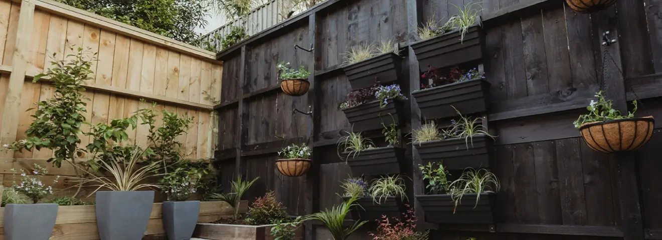 Grouped planters of salad greens on a courtyard wall