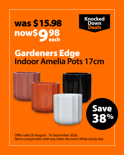 Gardeners Edge Indoor Amelia Pots 17cm, was $15.98 now $9.98 each, save 38%. Knocked Down Deals offer valid 20 August - 16 September 2026. Not in conjunction with any other discount. While stocks last.
