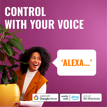 Wiz Control with Voice