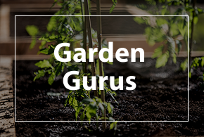 Garden Gurus