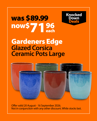 Gardeners Edge Glazed Corsica Ceramic Pots Large, was $86.98 now $71.96 each. Offer valid 20 August - 16 September 2026. Not in conjunction with any other discount. While stocks last.