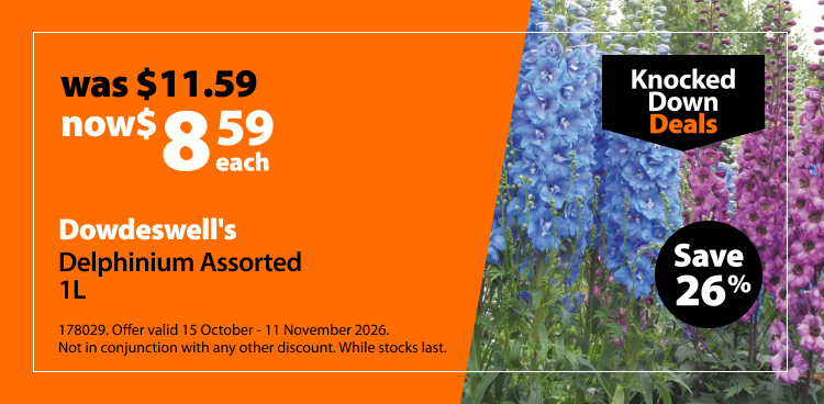 Dowdeswell's Delphinium Assorted 1L, was $11.59 now $8.59 each. Knocked Down Deals offer valid 15 October - 11 November 2026. Not in conjunction with any other discount. While stocks last.