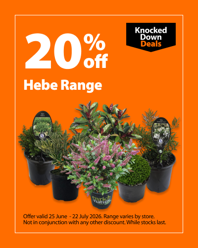 Hebe Range. 20% off Knocked Down Deals offer valid 25 June – 22 July 2026. Range varies by store. Not in conjunction with any other discount. While stocks last.