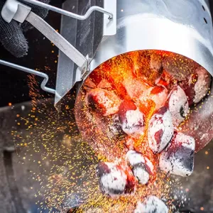 Lump charcoal content image