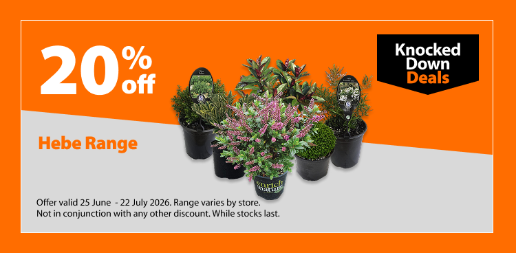 Hebe Range. 20% off Knocked Down Deals offer valid 25 June – 22 July 2026. Range varies by store. Not in conjunction with any other discount. While stocks last.