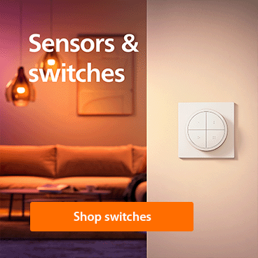 Philips Hue switches
